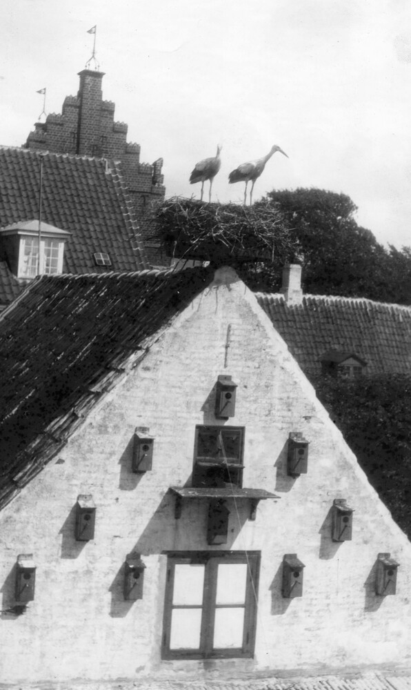A stork's nest on top of a house.