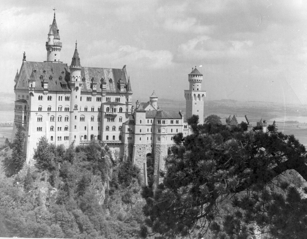 A large castle with trees in the foreground.