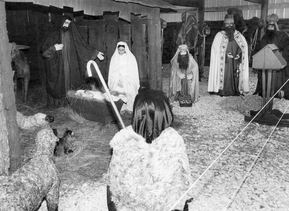 photo of nativity scene formed by life-size wax figures