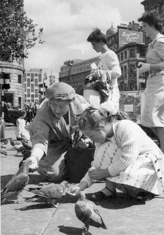 Two women crouching to feed pigeons with women in the background on a street.