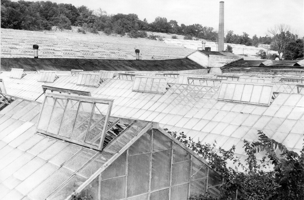 photo of roofs of greenhouses, with brick chimney tower in background.