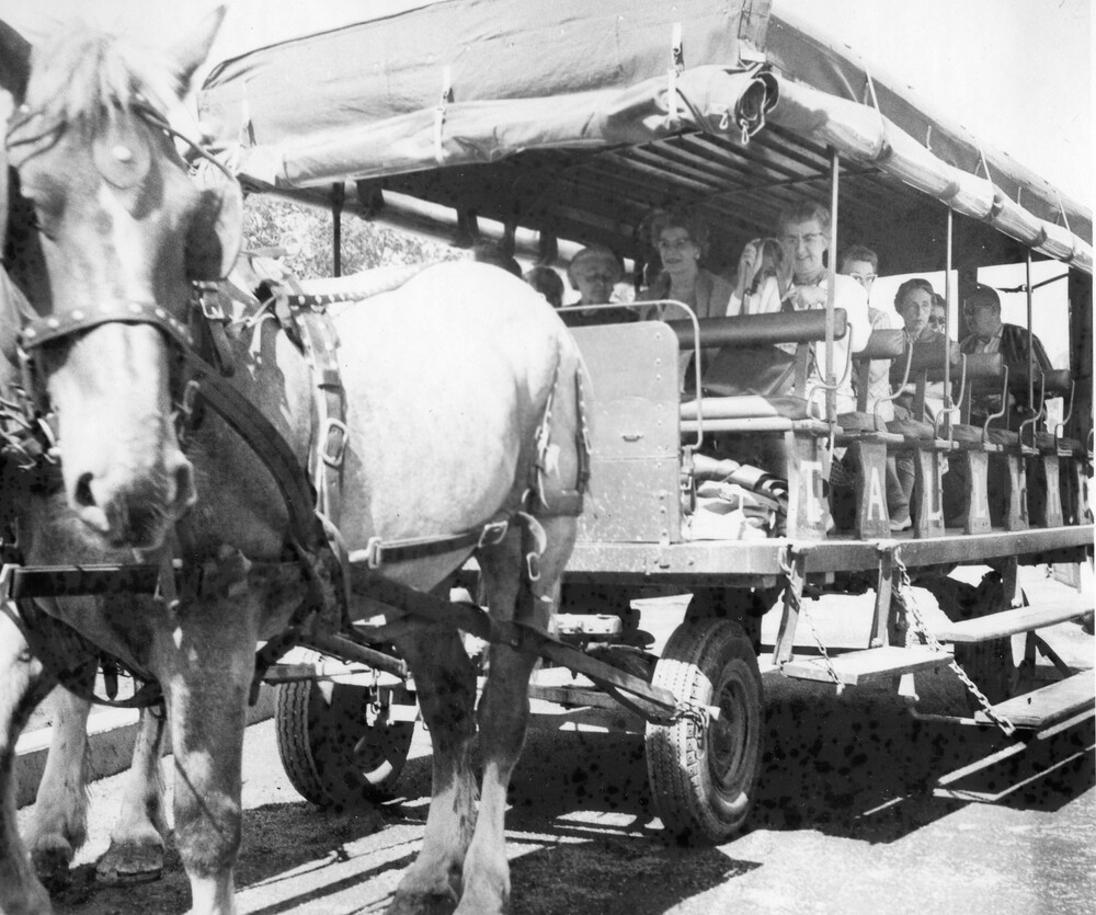 A horse pulling a tram loaded with people.
