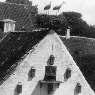 A stork's nest on top of a house.
