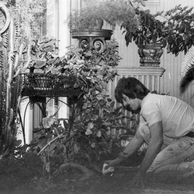 Man kneeling on floor in front of multiple plants.