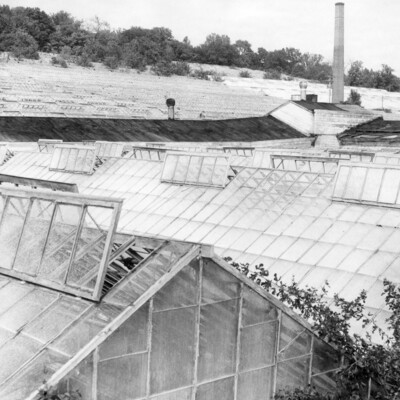 photo of roofs of greenhouses, with brick chimney tower in background.