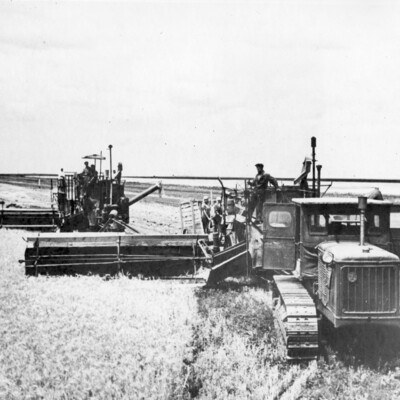 Farmers harvesting a field.