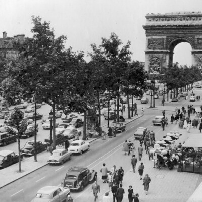 Broad tree-lined boulevard filled with pedestrians and motorists.