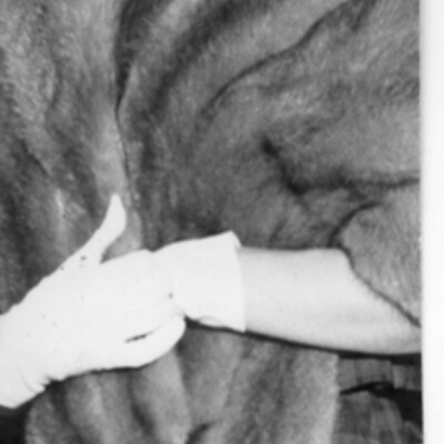 Woman wearing dress, fur jacket, pearls, and white gloves