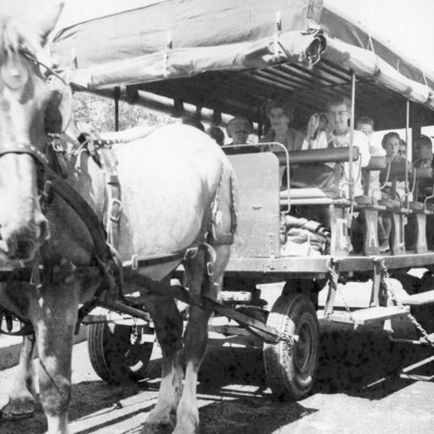 A horse pulling a tram loaded with people.